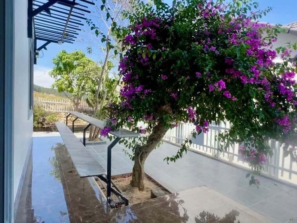 Cần Bán Nhà Vườn 503m² Có 100m² Thổ Cư, Sân Vườn Rộng, Giá Chỉ 2,6 Tỷ