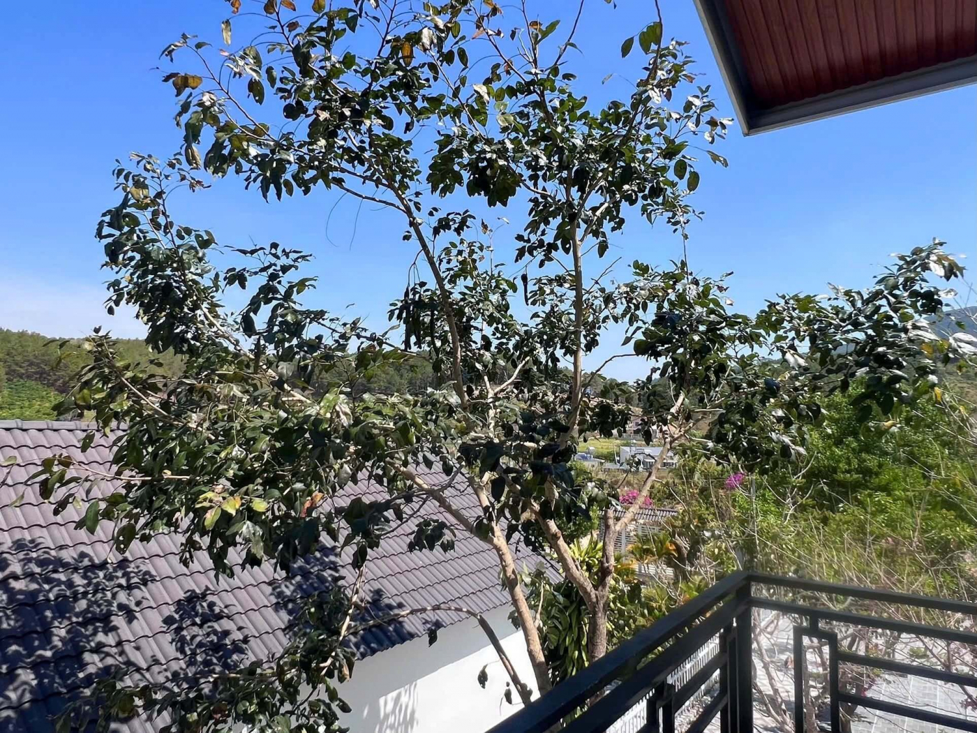 Cần Bán Nhà Vườn 503m² Có 100m² Thổ Cư, Sân Vườn Rộng, Giá Chỉ 2,6 Tỷ