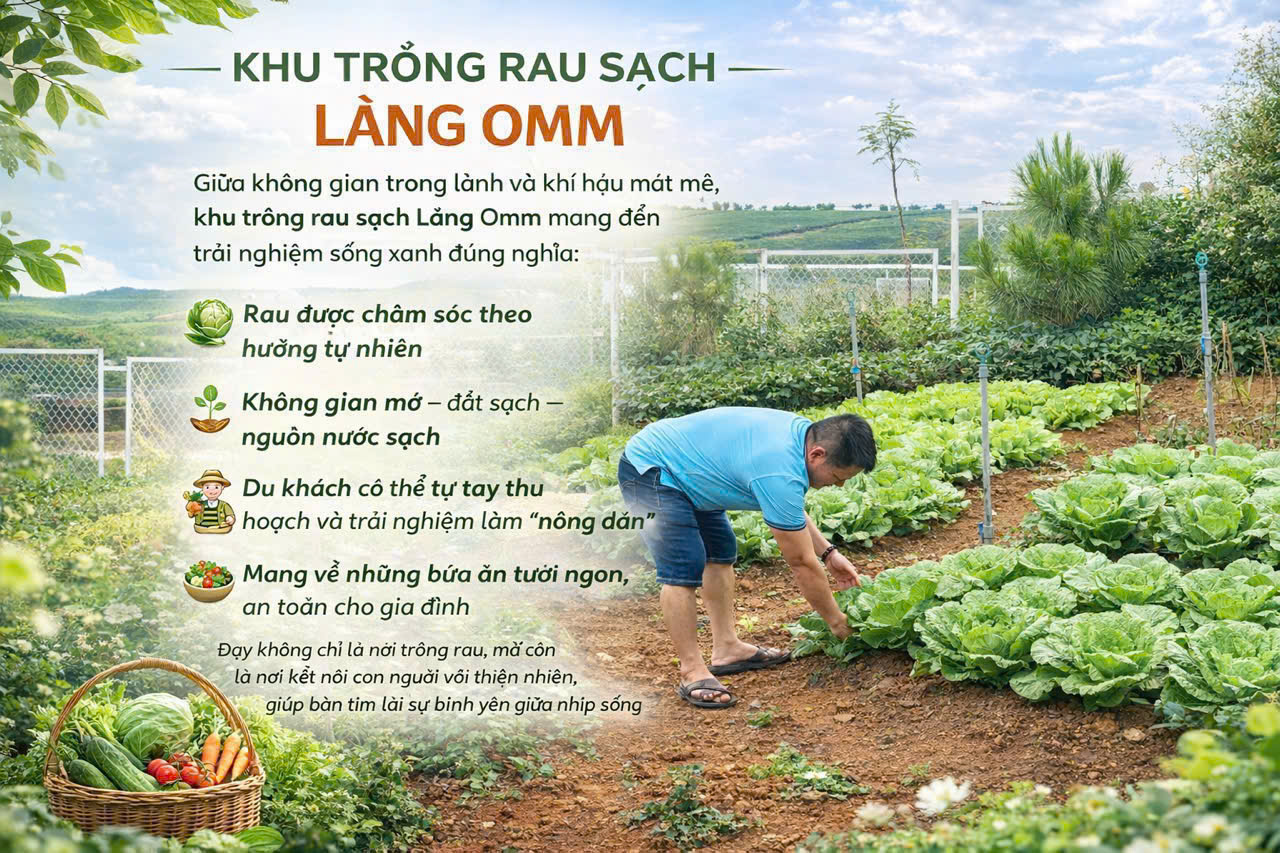 🌄 LÀNG OMM BẢO LỘC – SỞ HỮU BẤT ĐỘNG SẢN NGHỈ DƯỠNG ĐẦY TIỀM NĂNG