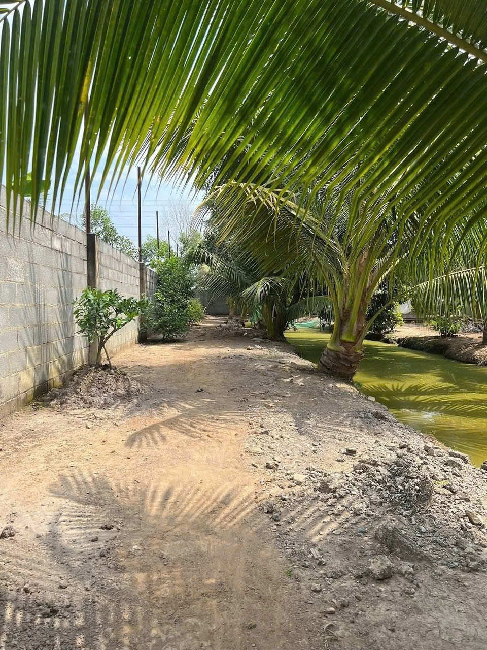 SIÊU PHẨM NHÀ VƯỜN NGHỈ DƯỠNG CỦ CHI – SÁT HÓC MÔN – CHỈ 15 TỶ‼️