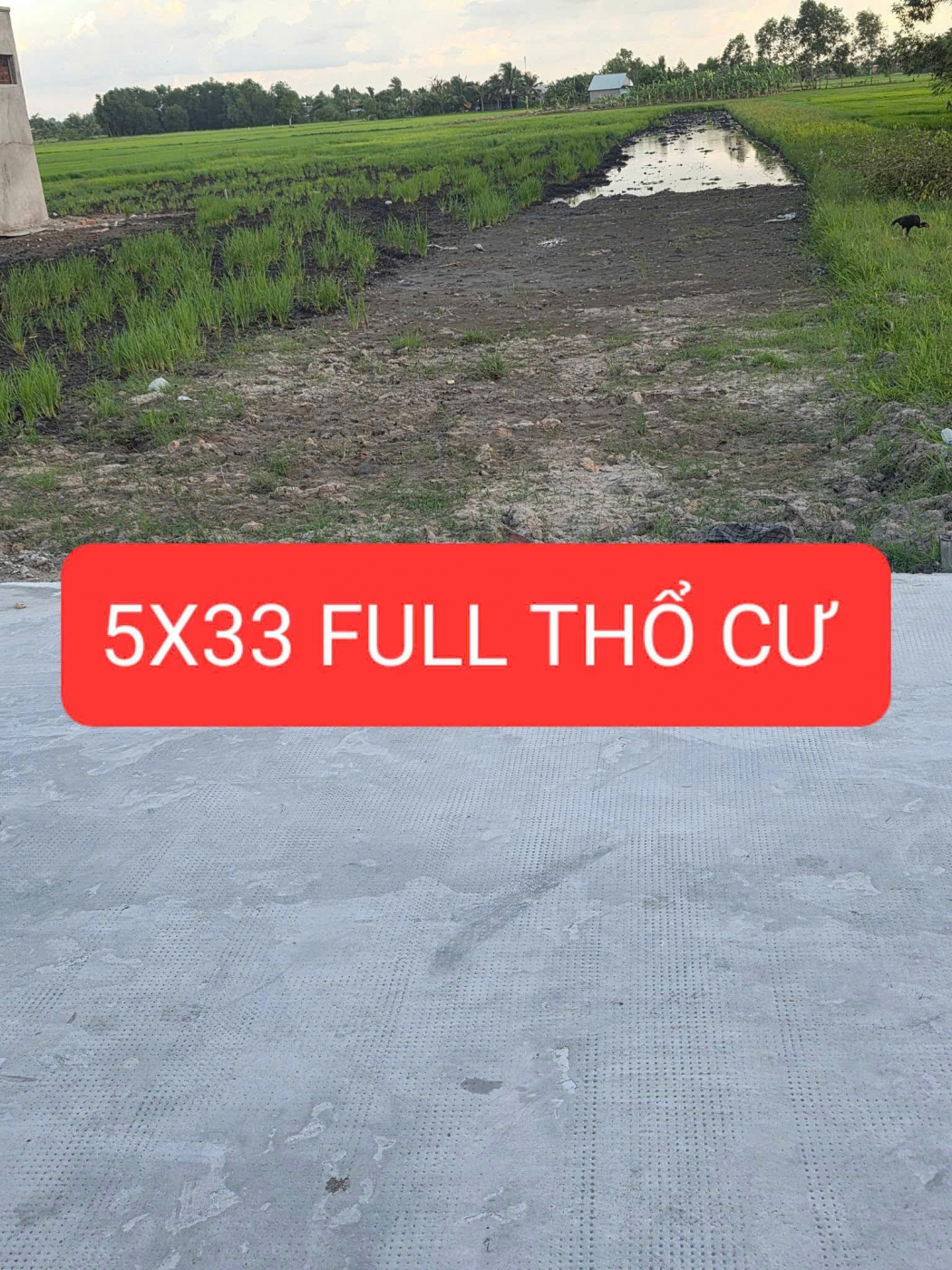 Đất An Thuận, An Ninh Đông - 165m2 thổ cư full, mặt tiền đường bê tông, giá 665 triệu