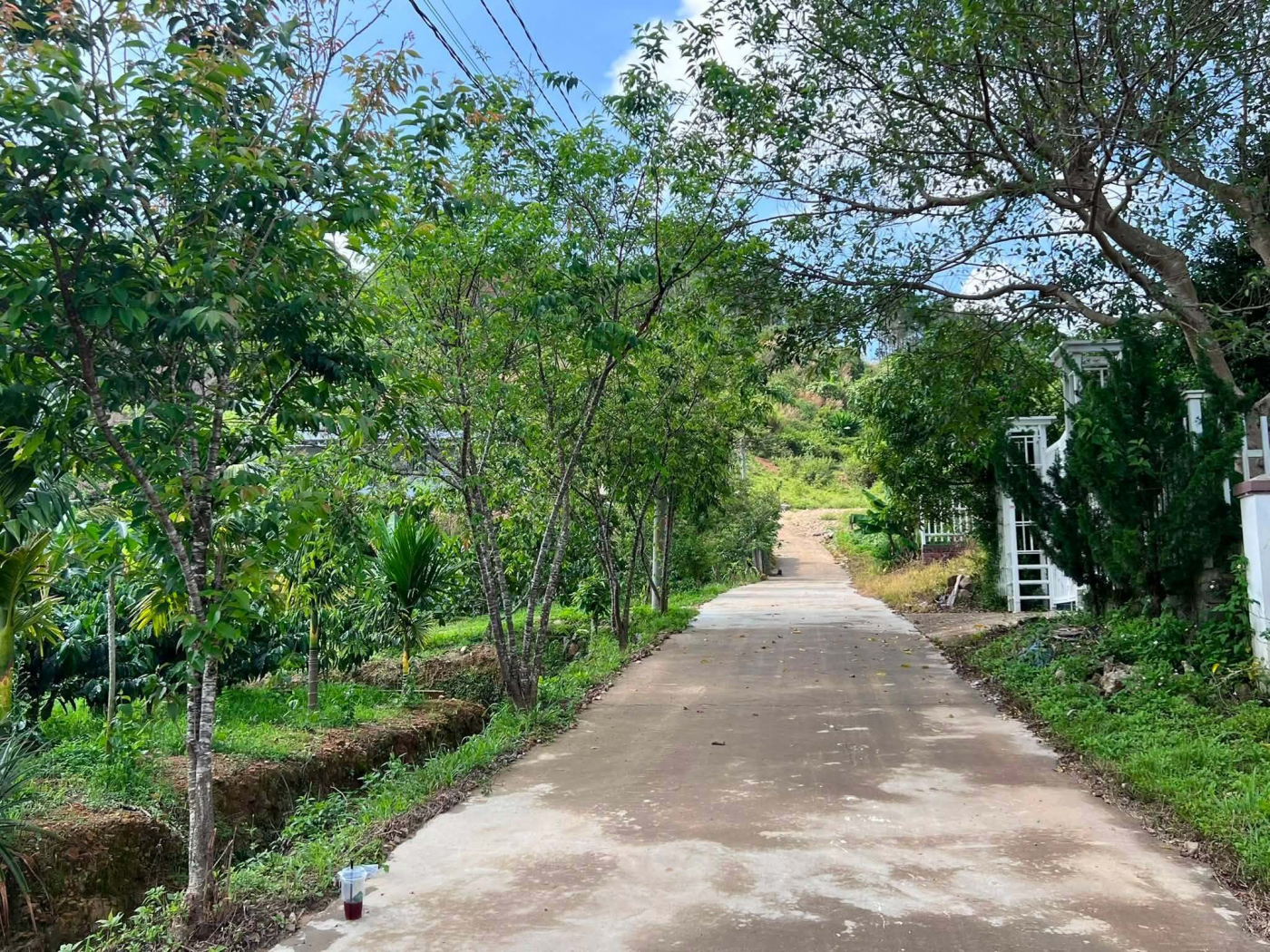 Cần Bán Đất Khu Nghỉ Dưỡng Gia Lâm 501m², Địa Thế Đẹp, Thông Xanh Bao Quanh