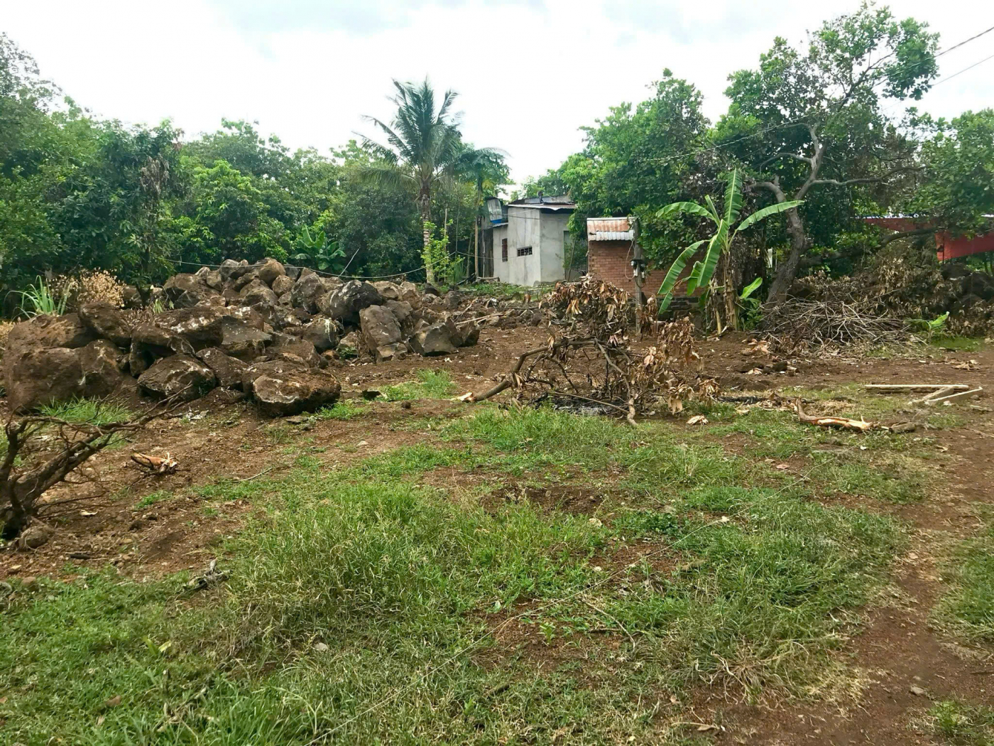 CHÍNH CHỦ BÁN GẤP ĐẤT TRỒNG CÂY LÂU NĂM 1.000M² TẠI ĐỊNH QUÁN, ĐỒNG NAI – GIÁ CHỈ 650 TRIỆU