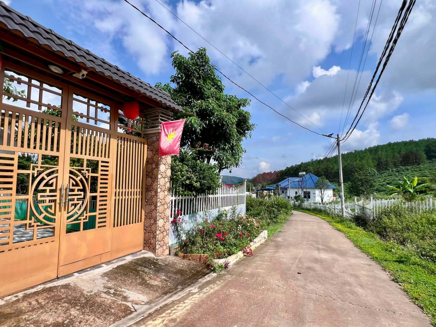 Cần Bán Đất Khu Nghỉ Dưỡng Gia Lâm 501m², Địa Thế Đẹp, Thông Xanh Bao Quanh