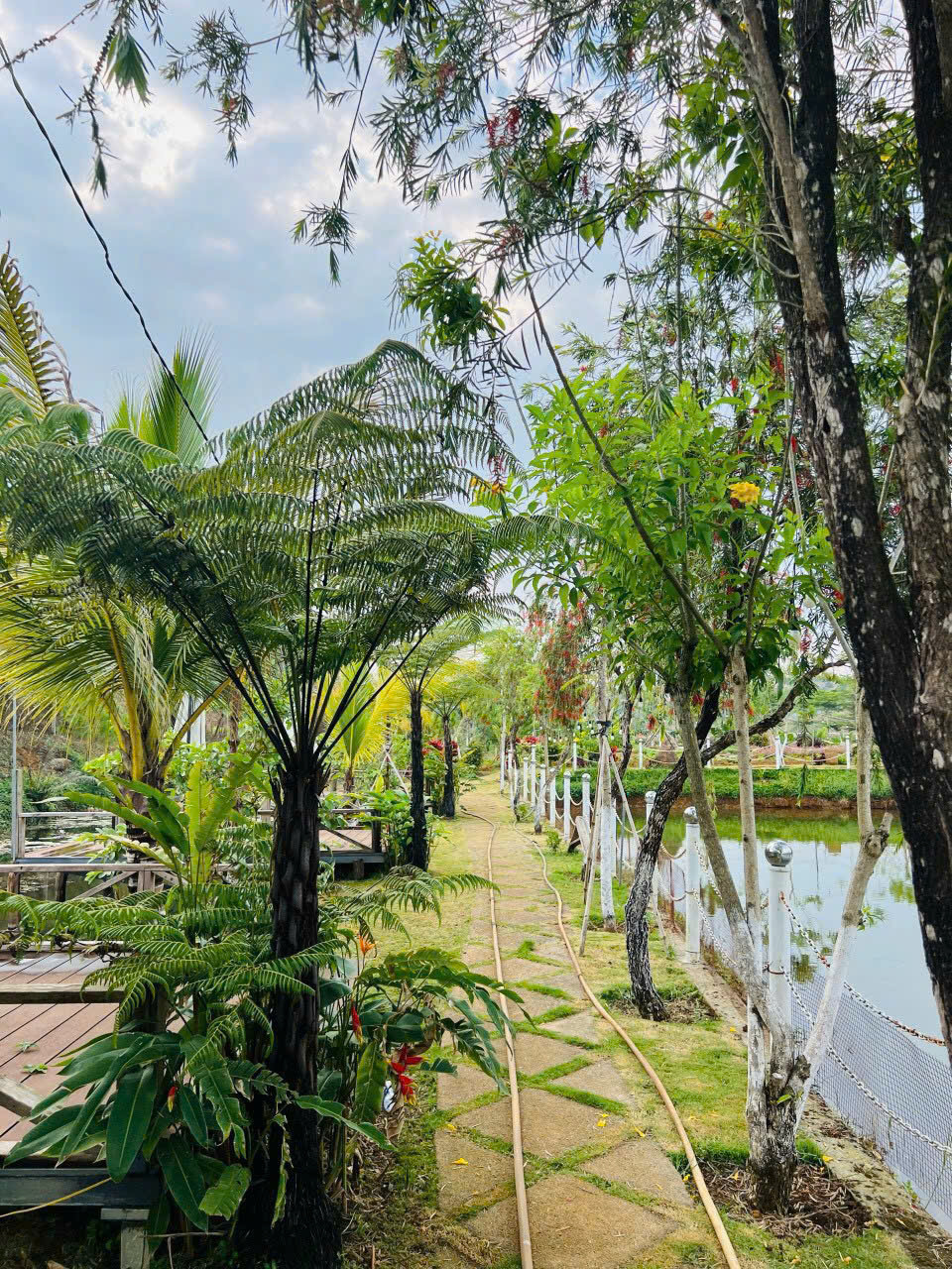 LÀNG OMM BẢO LỘC – NGÔI NHÀ THỨ 2 ĐÁNG SỞ HỮU 🌿