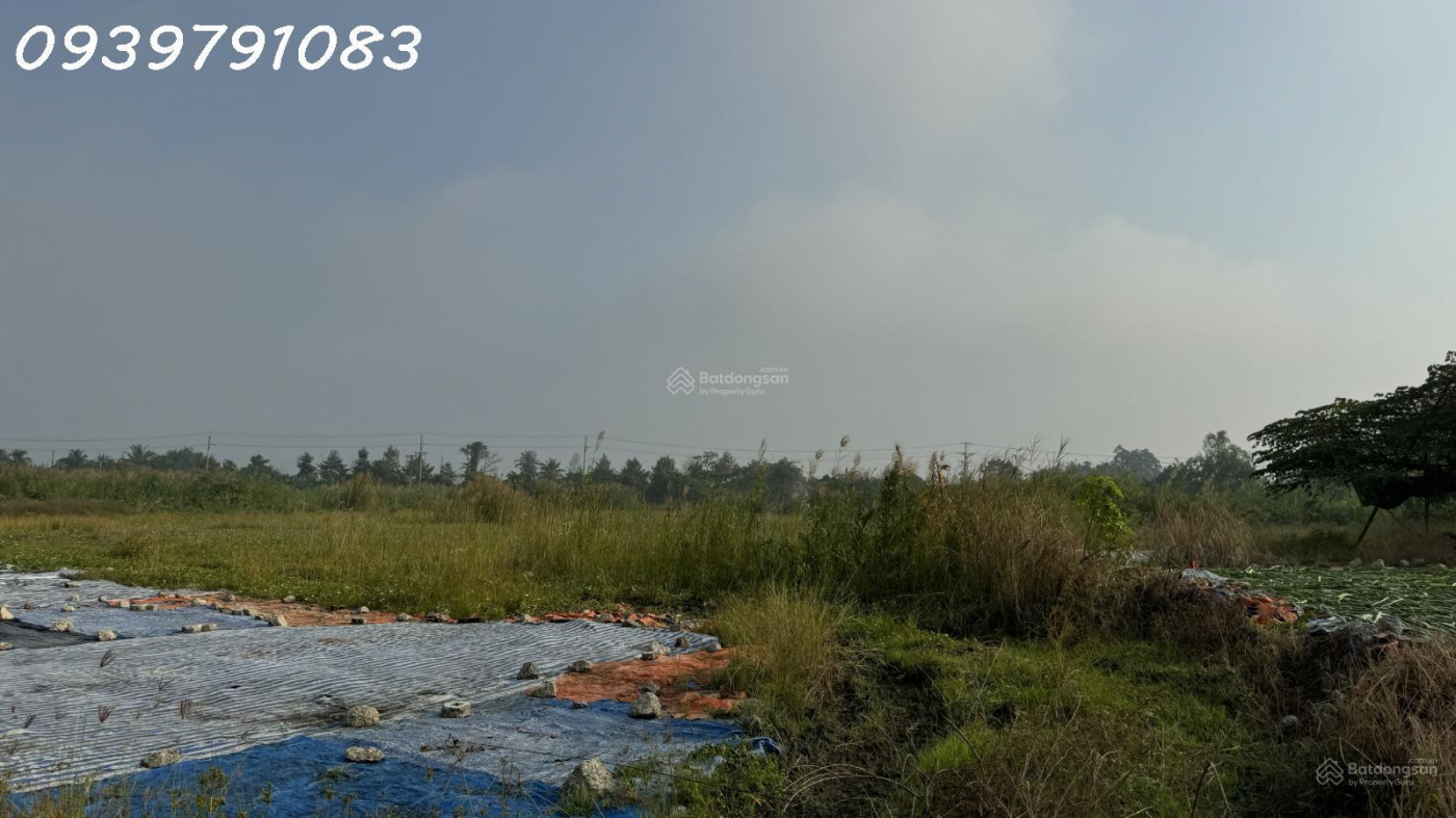CẦN BÁN 2,14 HA ĐẤT TẠI CỤM CÔNG NGHIỆP MỸ HIỆP, ĐỒNG THÁP (CAO LÃNH - ĐỒNG THÁP CŨ)