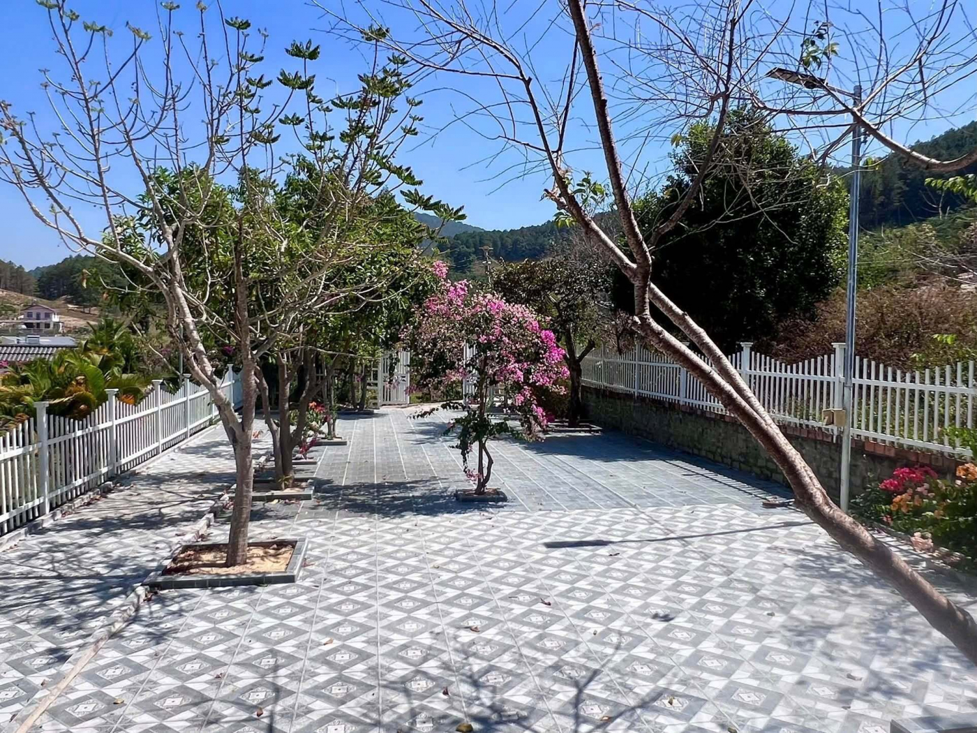 Cần Bán Nhà Vườn 503m² Có 100m² Thổ Cư, Sân Vườn Rộng, Giá Chỉ 2,6 Tỷ