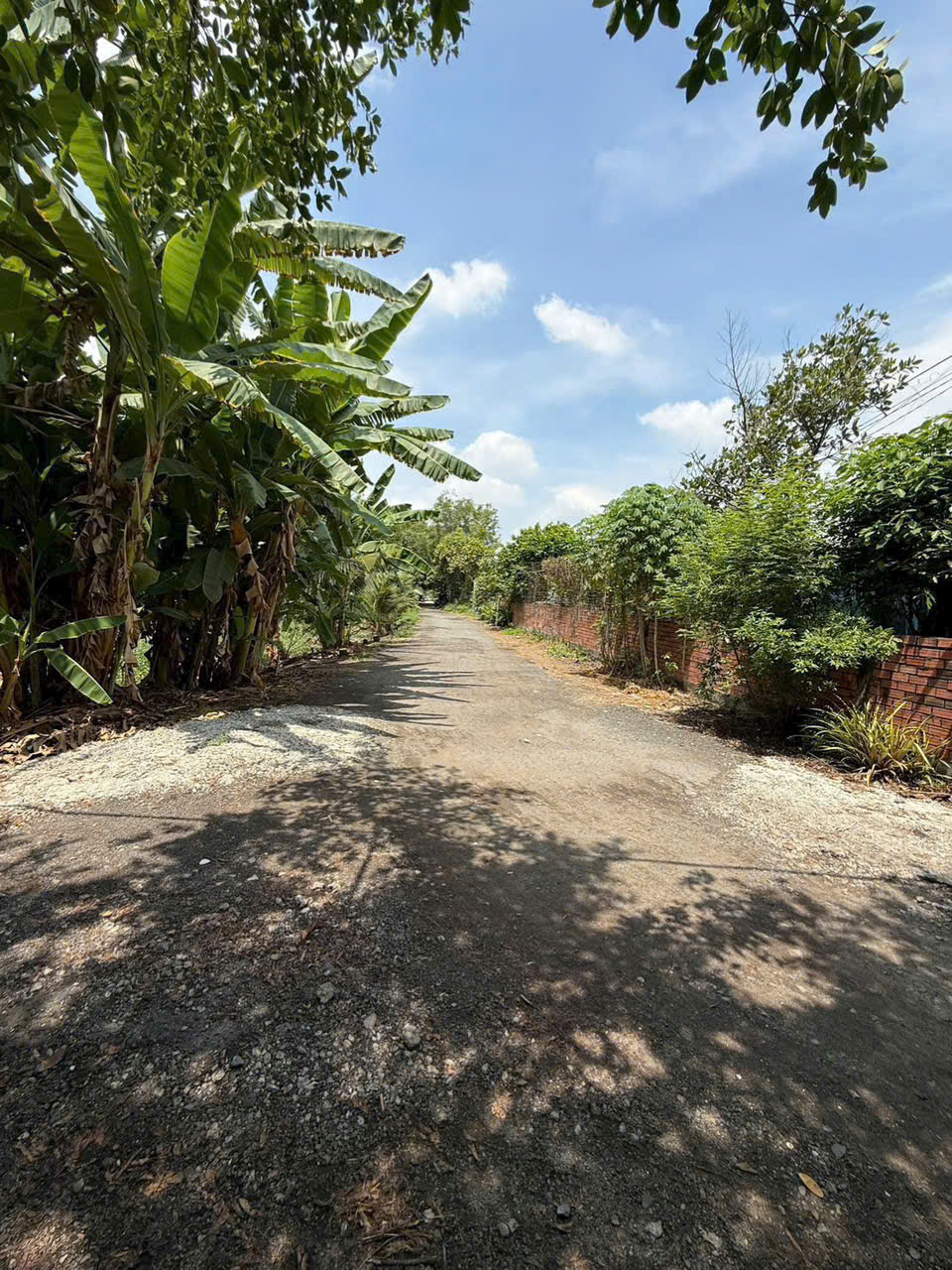 Hot! Gấp 1.181m² (20x57) gần Vinhomes Hóc Môn Chỉ 13,99 Tỷ – Ngang 20m, 2MT