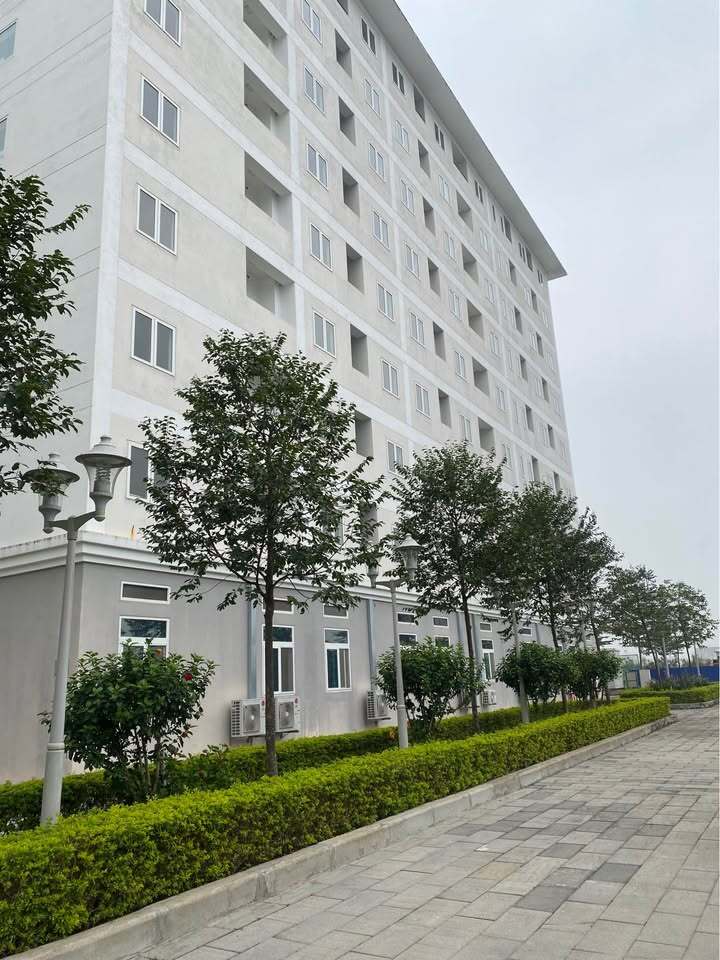 Nhà ở xã hội taị thành phố Thanh Hóa, tháng 12/2026 nhận nhà mới