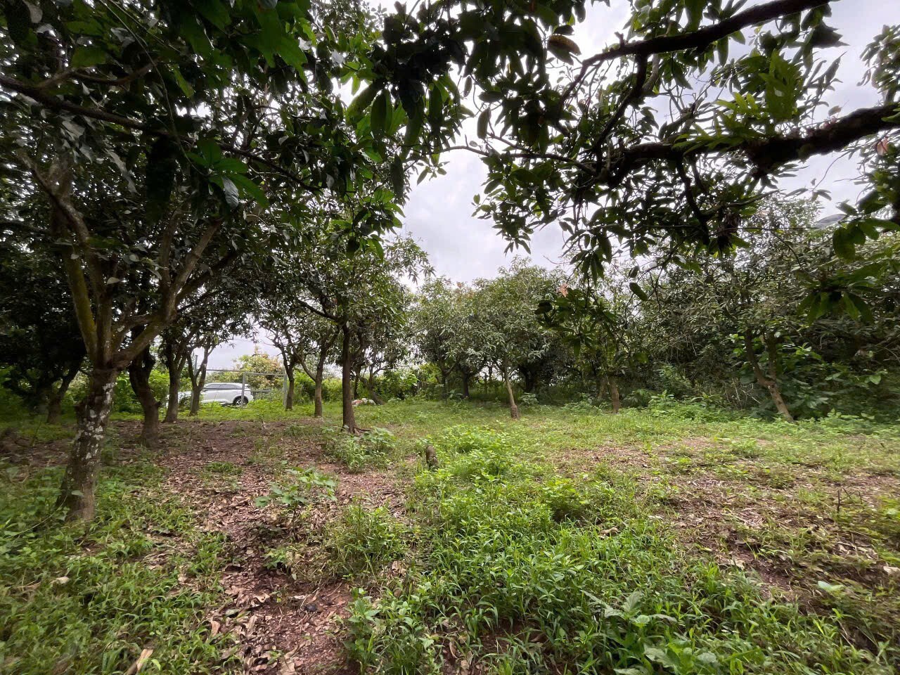 ĐẤT ĐẸP - ĐẦU TƯ SINH LỜI - Chính Chủ Cần Bán Lô Đất Tại Xã Túc Trưng, Định Quán, Đồng Nai