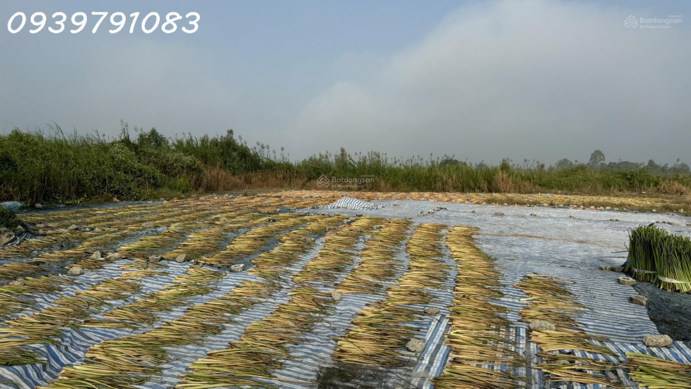 CẦN BÁN 2,14 HA ĐẤT TẠI CỤM CÔNG NGHIỆP MỸ HIỆP, ĐỒNG THÁP (CAO LÃNH - ĐỒNG THÁP CŨ)