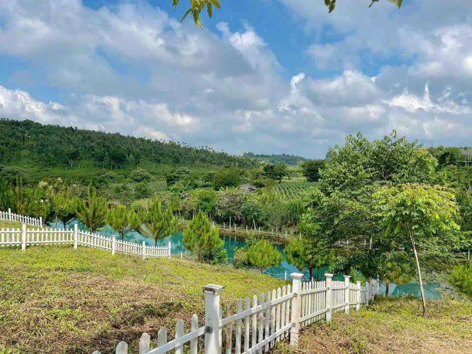 Duy Nhất 1 lô ĐẤT NGHỈ DƯỠNG VIEW SUỐI 350M² CÓ THỔ Phường 2 Bảo Lộc