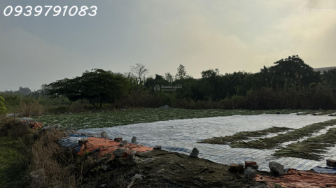 CẦN BÁN 2,14 HA ĐẤT TẠI CỤM CÔNG NGHIỆP MỸ HIỆP, ĐỒNG THÁP (CAO LÃNH - ĐỒNG THÁP CŨ)