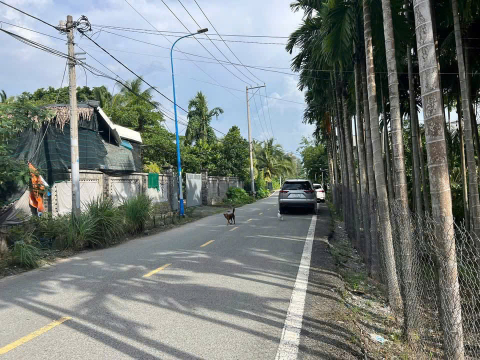 ĐẤT HÓC MÔN NGANG 39M – GIÁ CHỈ 5.3 TỶ – SIÊU HIẾM KHÓ TÌM