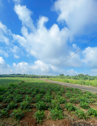 🏡 ĐẤT THỔ CƯ ĐÔNG HÒA – TRẢNG BOM