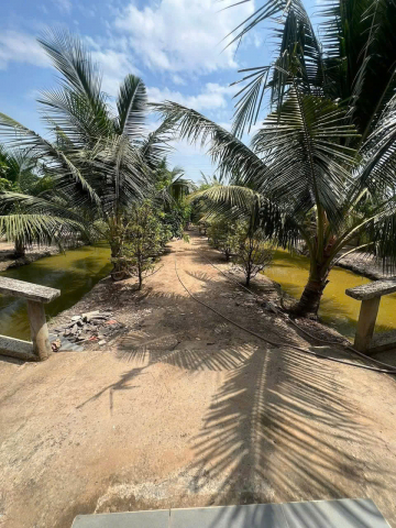 SIÊU PHẨM NHÀ VƯỜN NGHỈ DƯỠNG CỦ CHI – SÁT HÓC MÔN – CHỈ 15 TỶ‼️